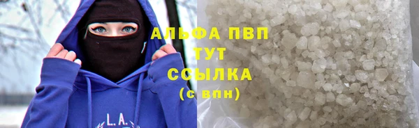 СК Алзамай