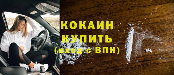 СК Алзамай
