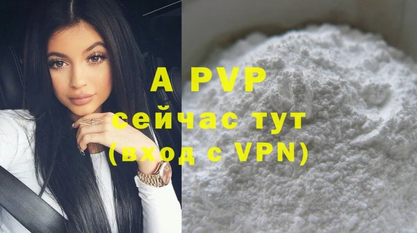 молекула духа Алексин